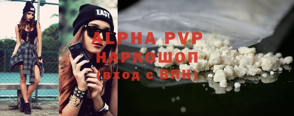 гидра Шадринск