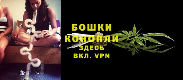 крисы Шарыпово