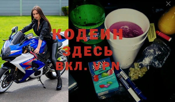 стафф Щигры