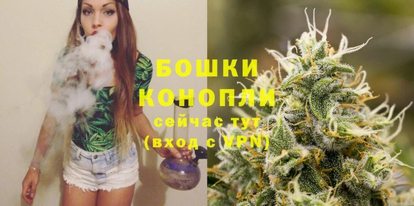 крисы Шарыпово