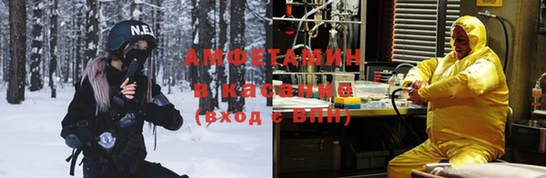 гидра Шадринск