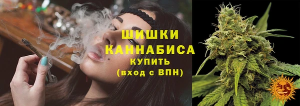 крисы Шарыпово