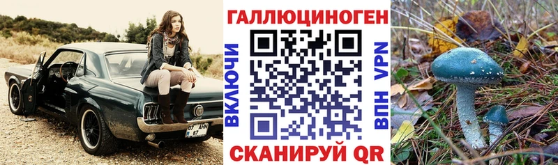 Псилоцибиновые грибы Psilocybine cubensis  Новое Девяткино 